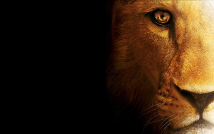 Lion-wallpaper-for-desktop-hdtv