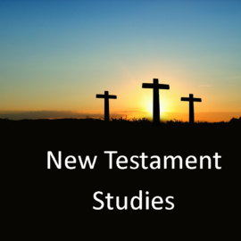 New Testament Studies